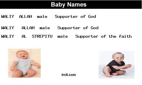 waliy---allah baby names